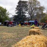 01B38D8C-2DED-4767-87EE-6C415D8115BA