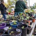 096E6739-8F7E-43C0-9D4A-2310509A03A1