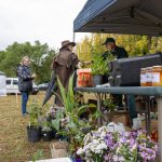 20D0A641-5770-4B97-9937-6C1EB6B2C1C4