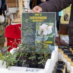 22E5964E-6D77-4D8F-8F76-B44539A56DCF