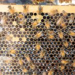 41E7B3D3-48BF-4A1E-A88F-04FF27849A4A