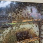 D0902F3D-E93F-44BC-AC11-D7F3EE6C9E51