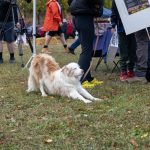 D1ACE1FE-AAF7-4570-9426-97C5541139DE