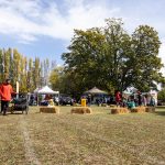 E0CE71AF-A30D-4AF3-A785-858CADDA19CF